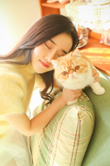 芭比动画